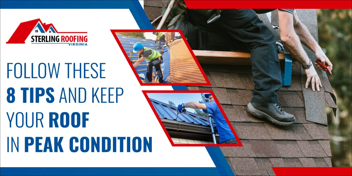 Follow These 8 Tips and Keep Your Roof in Peak Condition