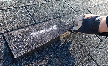 Gloved hand checking an asphalt shingle for surface damage